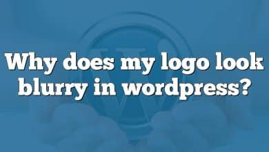 Why does my logo look blurry in wordpress?