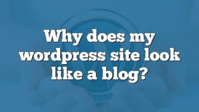 Why does my wordpress site look like a blog?