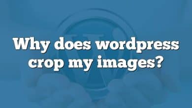 Why does wordpress crop my images?