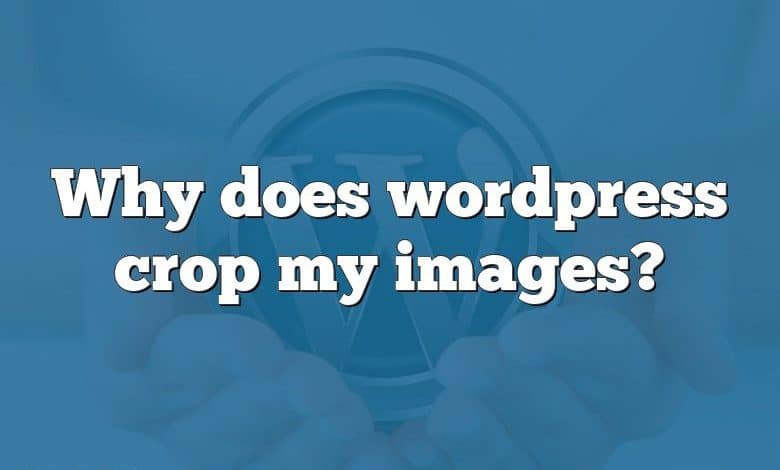 Why does wordpress crop my images?