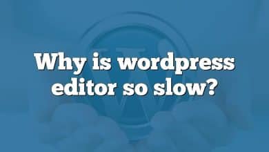 Why is wordpress editor so slow?