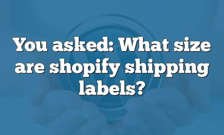 You asked: What size are shopify shipping labels?