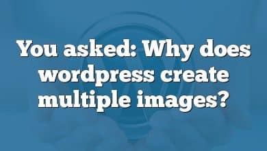 You asked: Why does wordpress create multiple images?