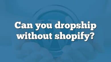 Can you dropship without shopify?