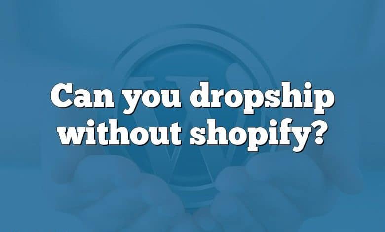 Can you dropship without shopify?