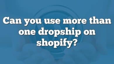 Can you use more than one dropship on shopify?