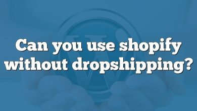 Can you use shopify without dropshipping?