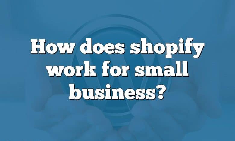 How does shopify work for small business?