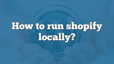 How to run shopify locally?