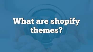 What are shopify themes?